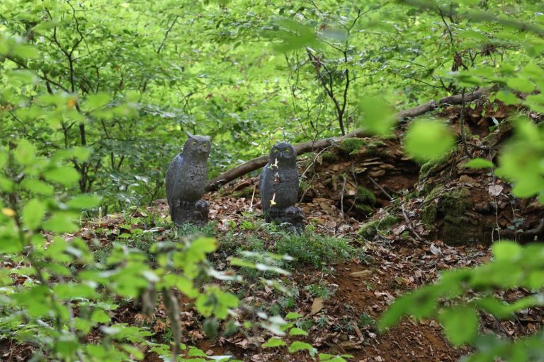 Zwei 3D-Eulenziele auf einem kleinen Hügel im grünen Wald