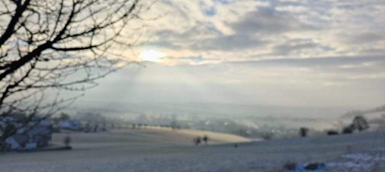 3D Stülpjagd Biersdorf am See 2025 – Bogenschützen auf dem 3D-Parcours | Arrowclub Dudelange