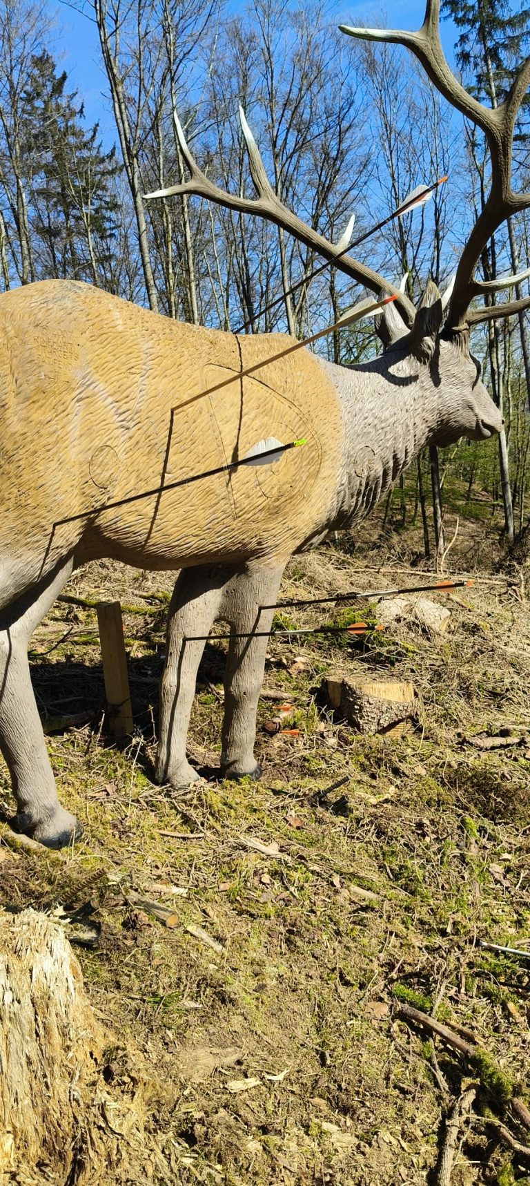 3D Zinnenschuss Biersdorf am See 2025 – 3D-Tierziel auf dem Parcours | Arrowclub Dudelange