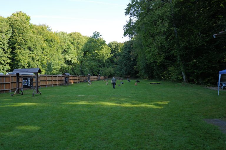 3D Geierschlucht 2025 – Rund ums Vereinshaus | Arrowclub Dudelange