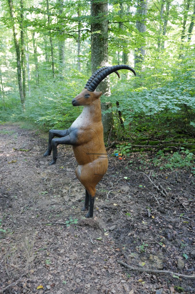 3D Geierschlucht 2025 – 3D-Tierziel auf dem Parcours | Arrowclub Dudelange