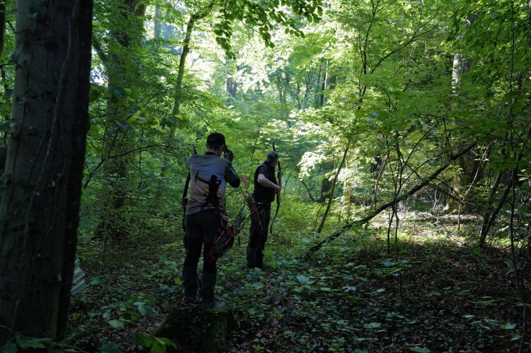 3D Geierschlucht 2025 – Bogenschützen auf dem 3D-Parcours | Arrowclub Dudelange
