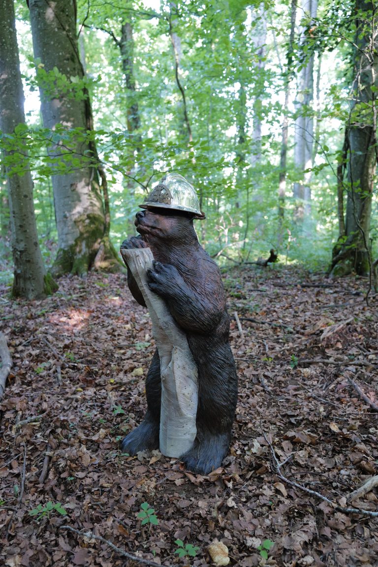 3D Geierschlucht 2025 – 3D-Tierziel auf dem Parcours | Arrowclub Dudelange