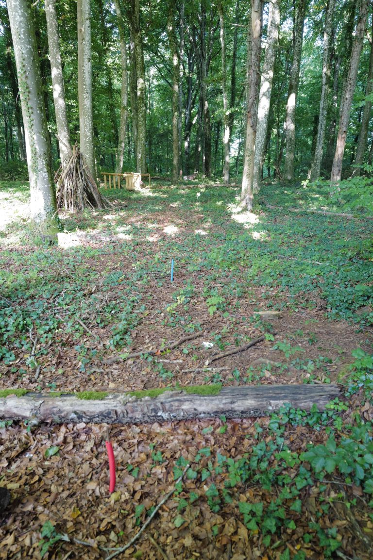 3D Geierschlucht 2025 – Bogenschützen auf dem 3D-Parcours | Arrowclub Dudelange