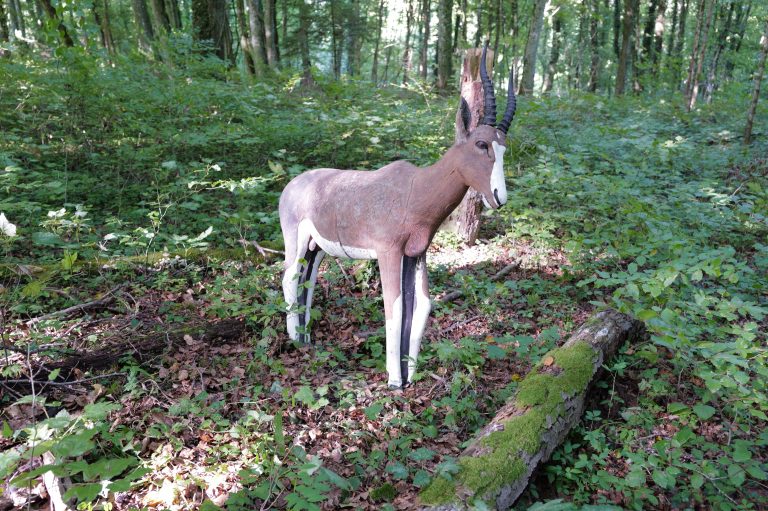 3D Geierschlucht 2025 – 3D-Tierziel auf dem Parcours | Arrowclub Dudelange