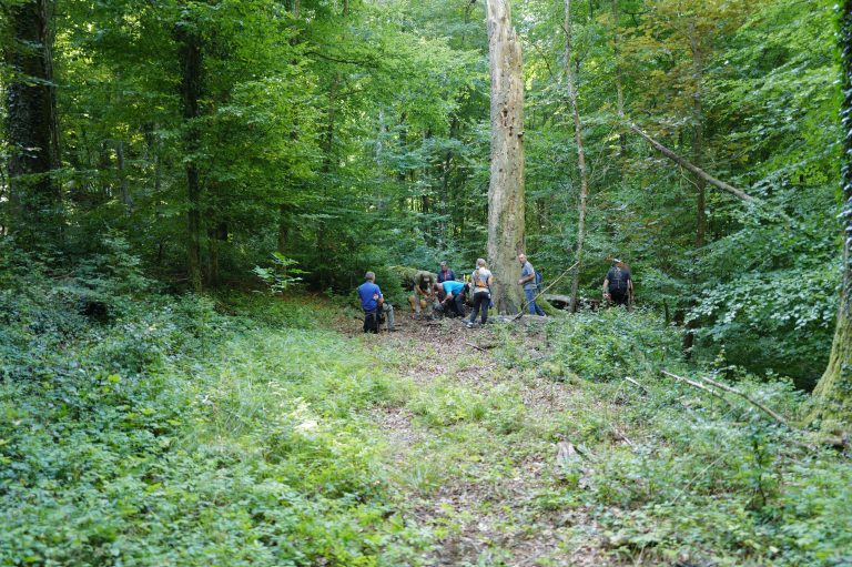 3D Geierschlucht 2025 – Bogenschützen auf dem 3D-Parcours | Arrowclub Dudelange