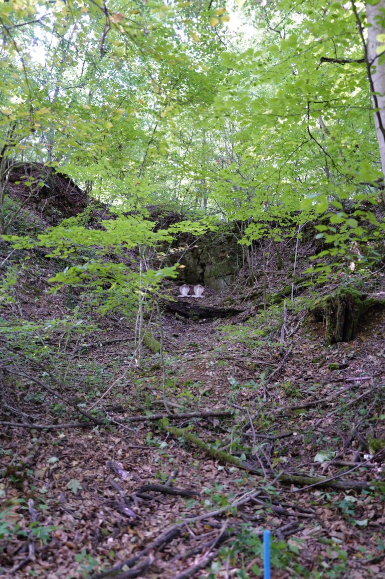 3D Geierschlucht 2025 – Bogenschützen auf dem 3D-Parcours | Arrowclub Dudelange