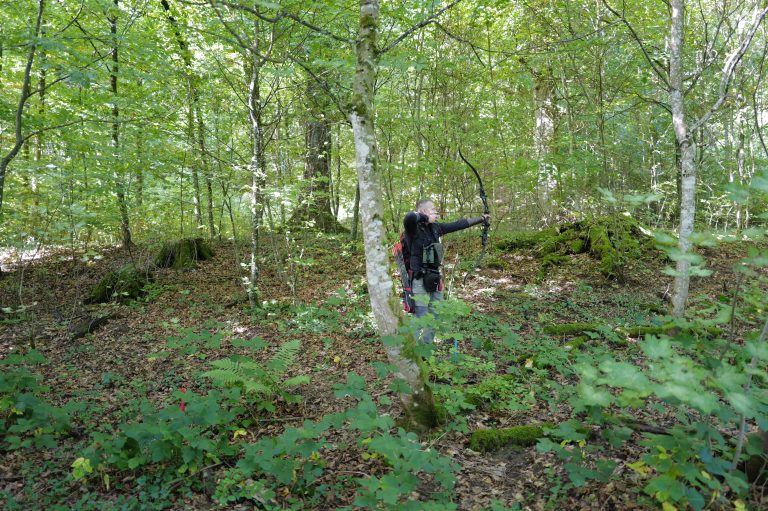 3D Geierschlucht 2025 – Bogenschützen auf dem 3D-Parcours | Arrowclub Dudelange