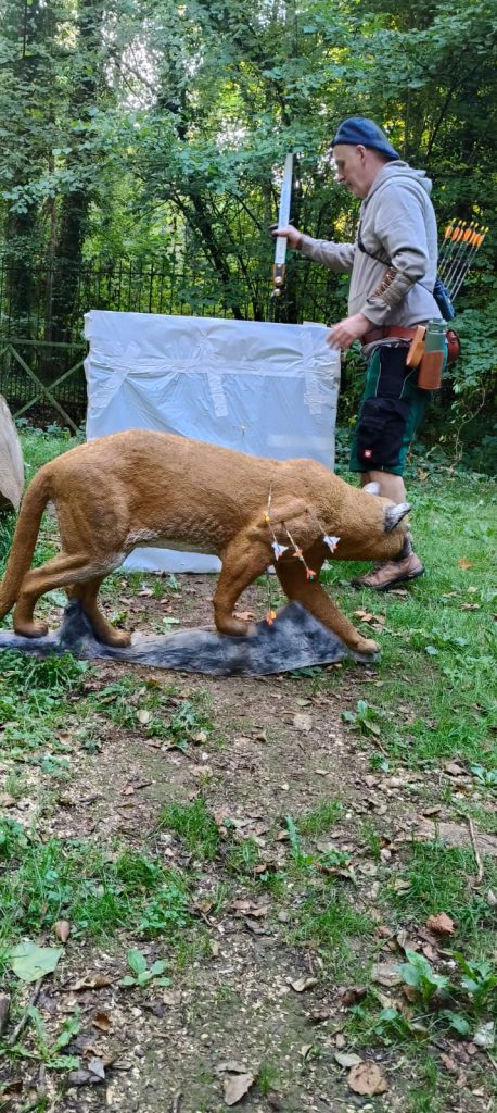 Cible 3D d'un animal sauvage dans les bois du parcours