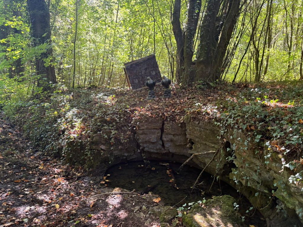 Cible 3D cachée dans la forêt sur le parcours de Gorcy