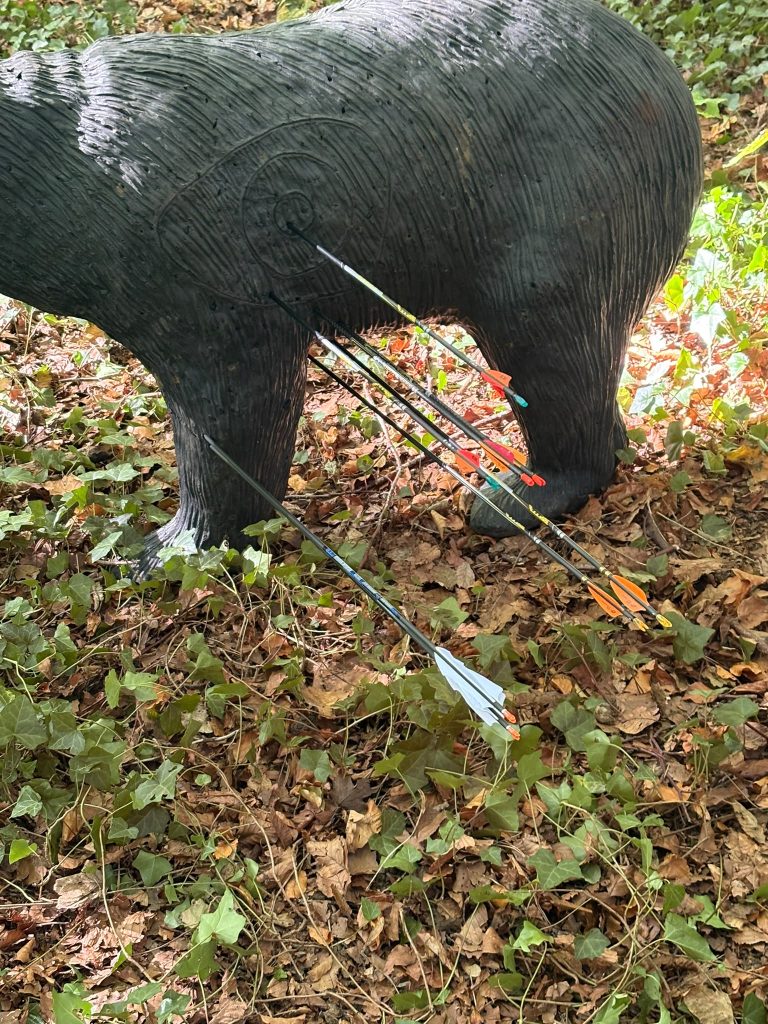 Cible 3D d'un ours noir avec des flèches, sur un tapis de feuilles