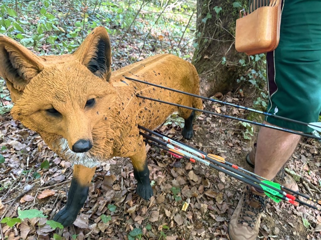 Cible 3D d'un renard avec des flèches plantées dans le sous-bois