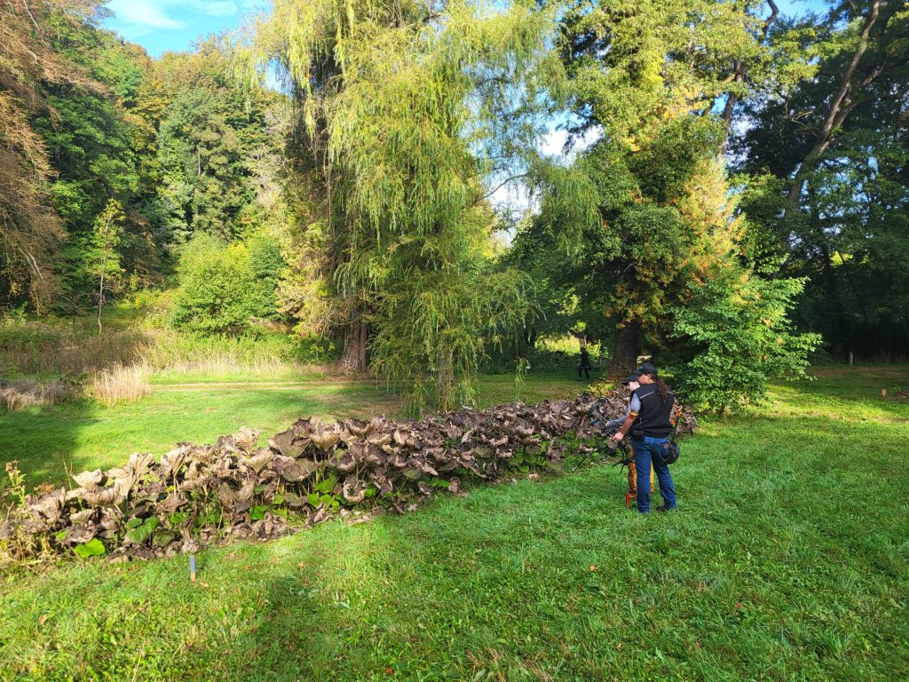 Vue du parc boisé de Gorcy sous le soleil d'automne