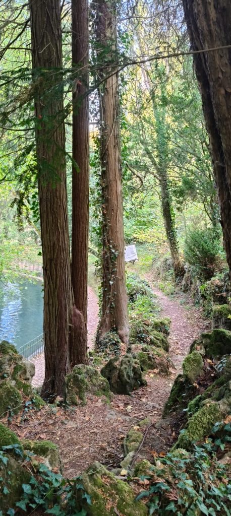 Sentier forestier du parcours de tir à l'arc 3D