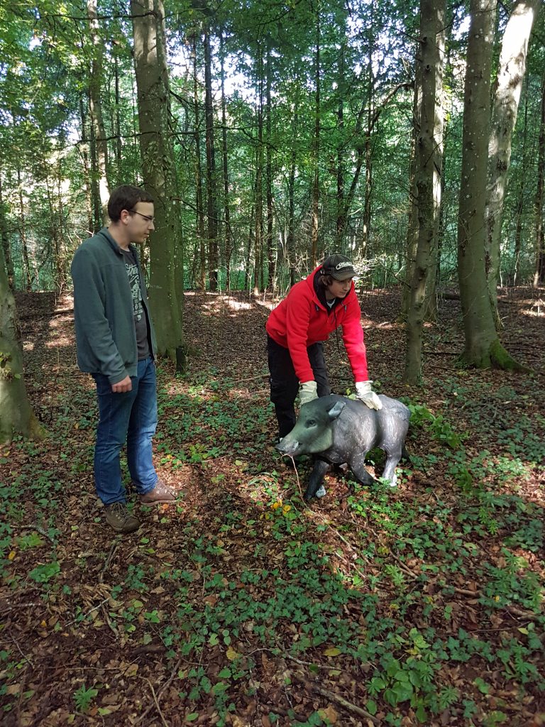 3D Geierschlucht 2017 – Aufbau des Parcours | Arrowclub Dudelange