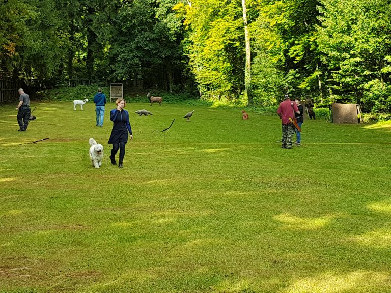 3D Geierschlucht 2017 – Aufbau des Parcours | Arrowclub Dudelange