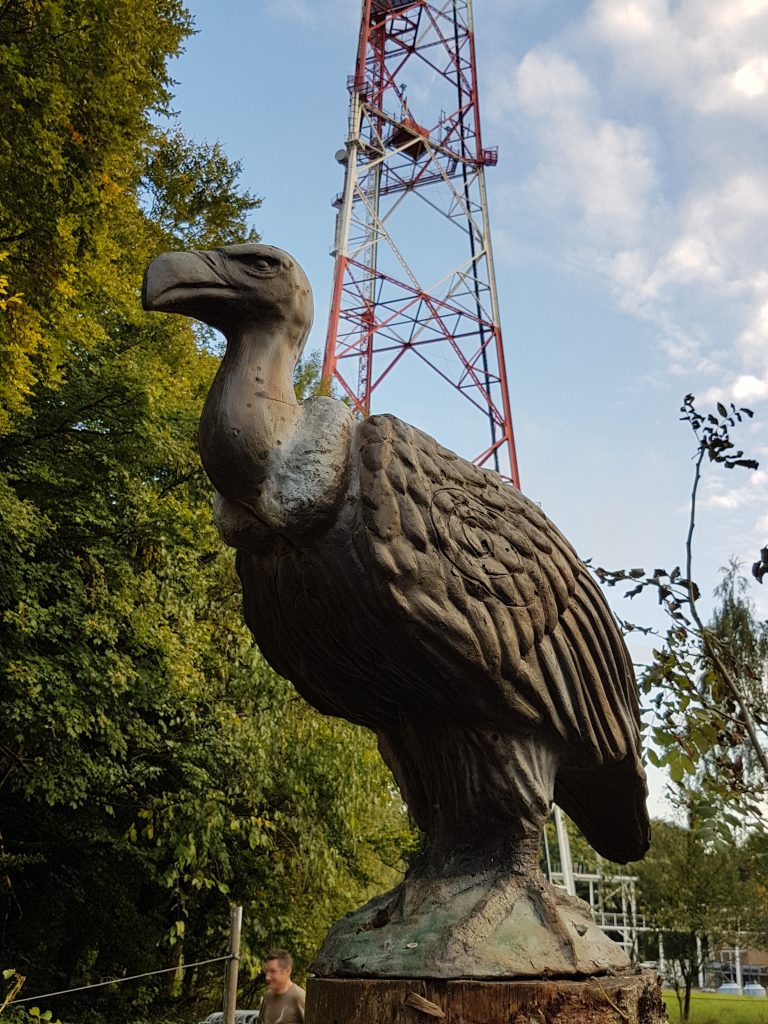 3D Geierschlucht 2017 – Die 3D-Ziele | Arrowclub Dudelange