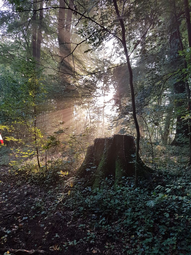 3D Geierschlucht 2017 – Aufbau des Parcours | Arrowclub Dudelange