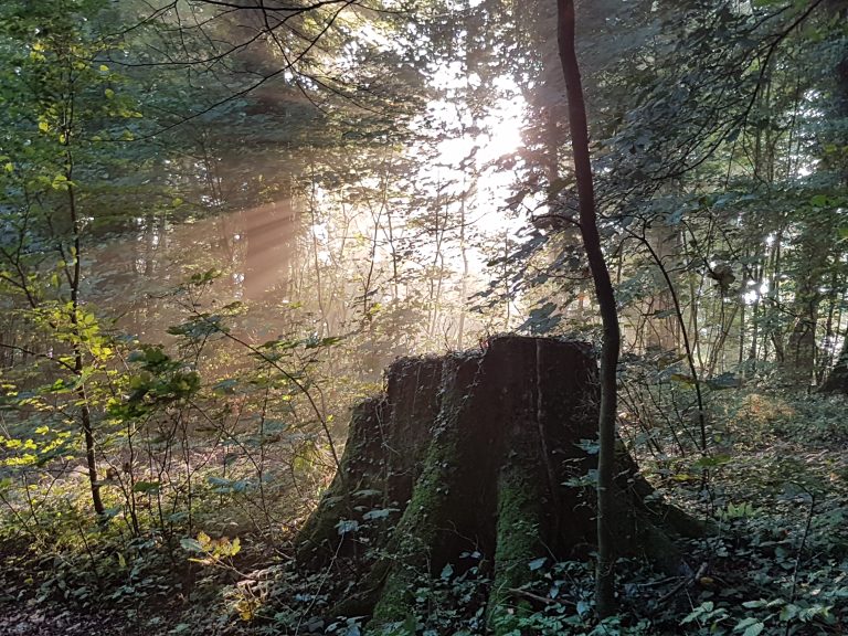 3D Geierschlucht 2017 – Auf dem Parcours | Arrowclub Dudelange
