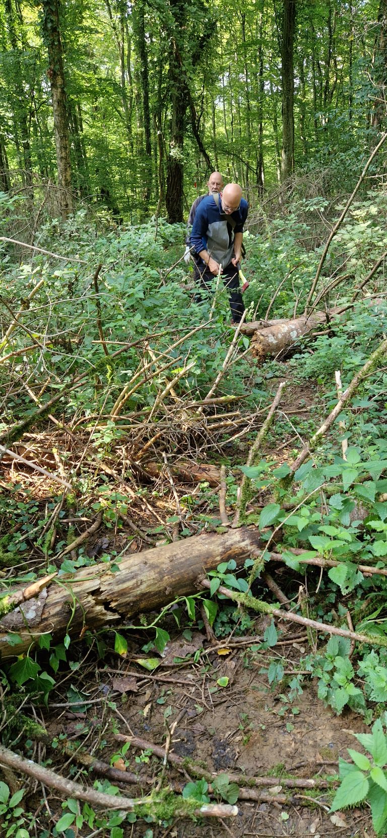 3D Geierschlucht 2024 – Aufbau des Parcours | Arrowclub Dudelange