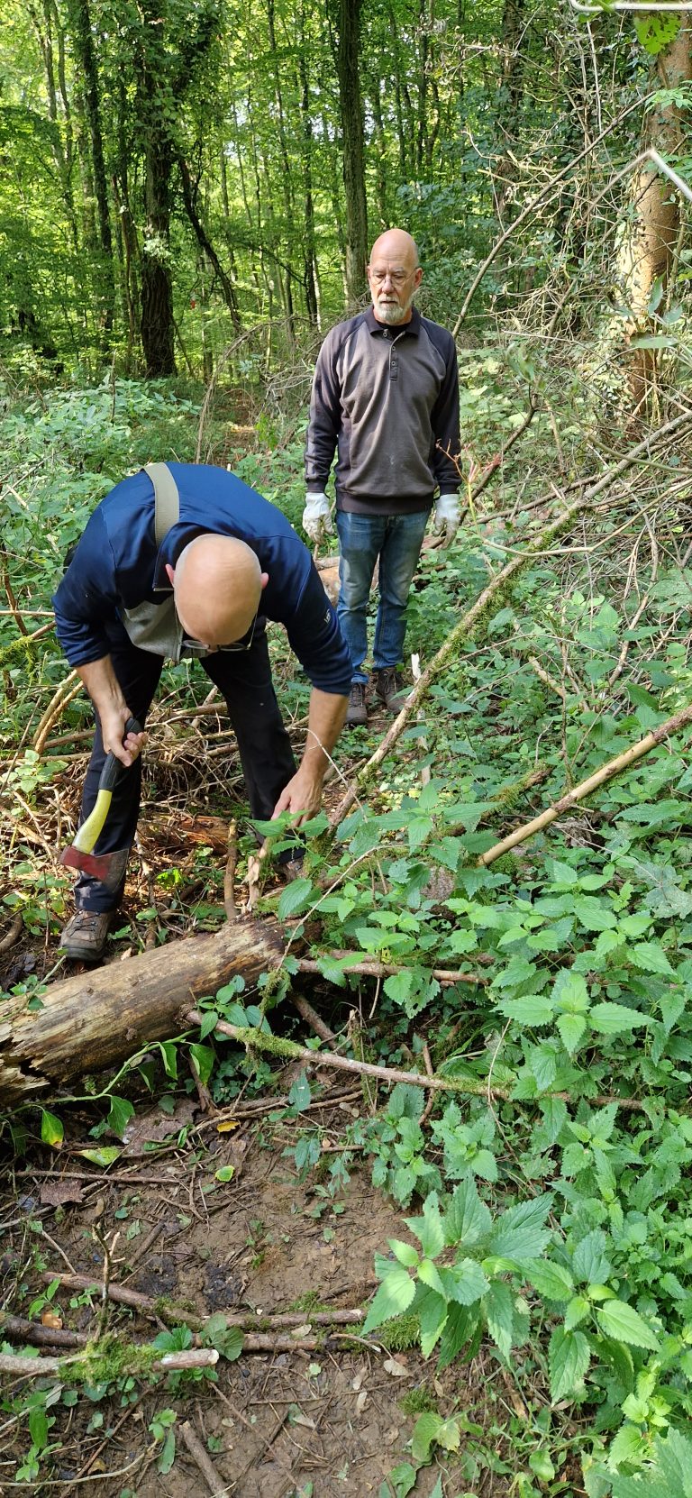 3D Geierschlucht 2024 – Aufbau des Parcours | Arrowclub Dudelange
