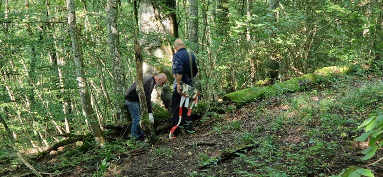 3D Geierschlucht 2024 – Aufbau des Parcours | Arrowclub Dudelange