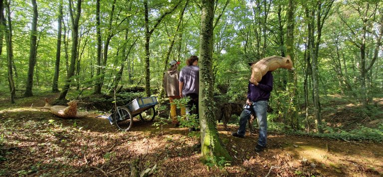 3D Geierschlucht 2024 – Aufbau des Parcours | Arrowclub Dudelange