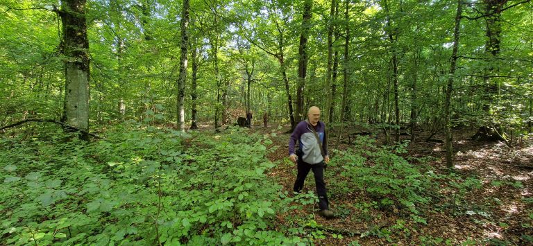 3D Geierschlucht 2024 – Aufbau des Parcours | Arrowclub Dudelange