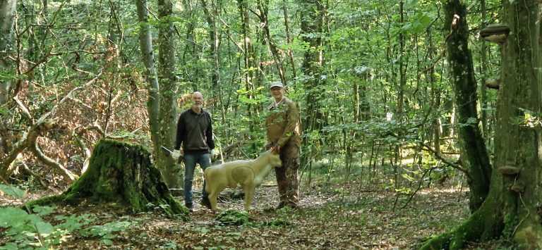 3D Geierschlucht 2024 – Aufbau des Parcours | Arrowclub Dudelange