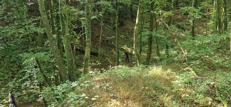 3D Geierschlucht 2024 – Aufbau des Parcours | Arrowclub Dudelange