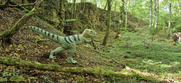 3D Geierschlucht 2024 – 3D-Ziele | Arrowclub Dudelange