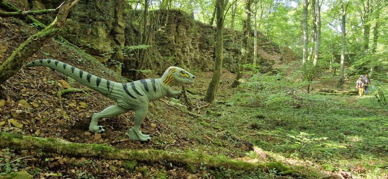 3D Geierschlucht 2024 – Aufbau des Parcours | Arrowclub Dudelange