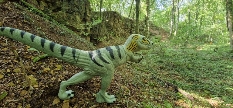 3D Geierschlucht 2024 – 3D-Ziele | Arrowclub Dudelange