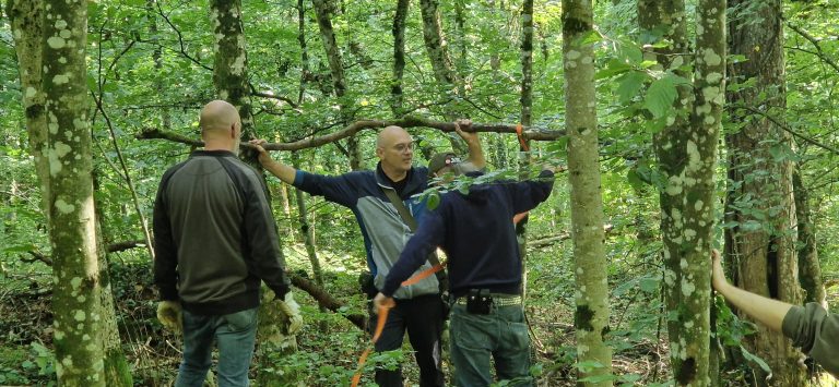 3D Geierschlucht 2024 – Aufbau des Parcours | Arrowclub Dudelange