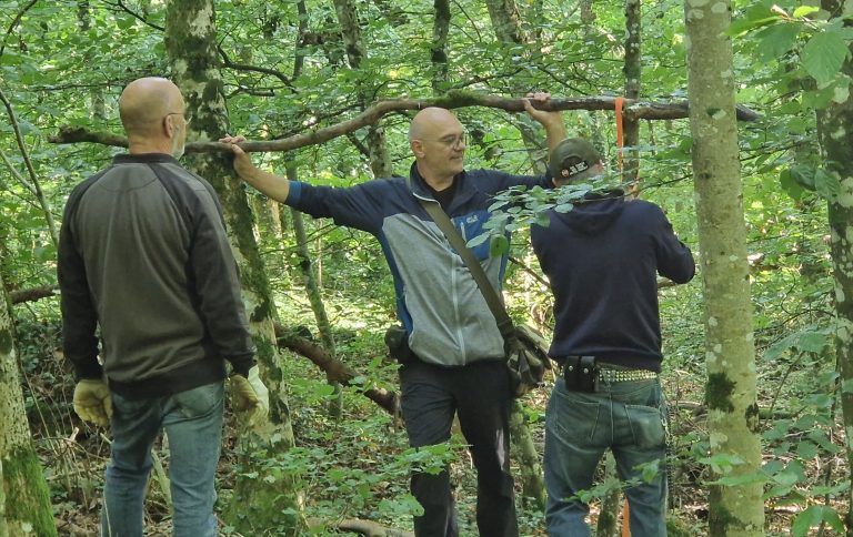 3D Geierschlucht 2024 – Aufbau des Parcours | Arrowclub Dudelange