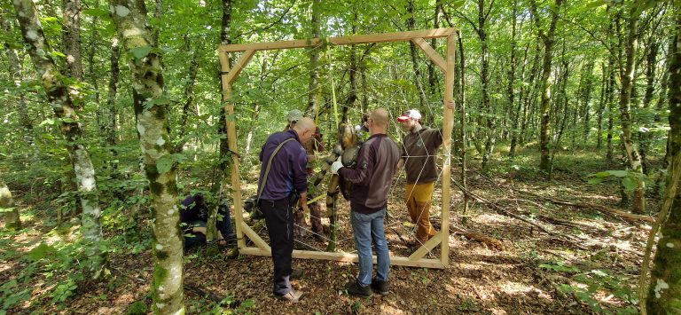 3D Geierschlucht 2024 – Aufbau des Parcours | Arrowclub Dudelange