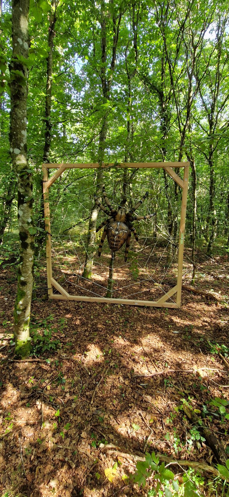 3D Geierschlucht 2024 – Aufbau des Parcours | Arrowclub Dudelange