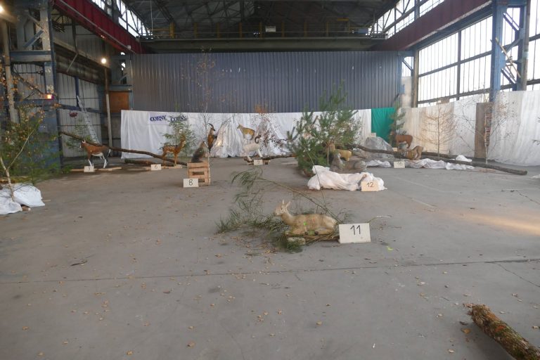 In der Halle – 3D Indoor 2019, Arrowclub Dudelange