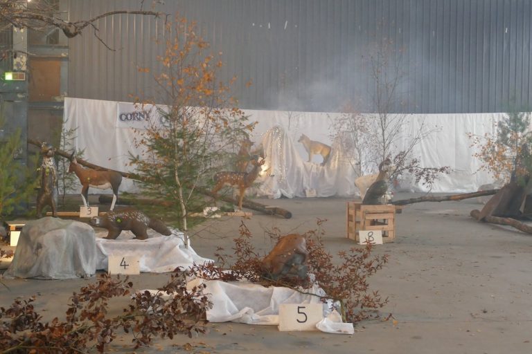 In der Halle – 3D Indoor 2019, Arrowclub Dudelange