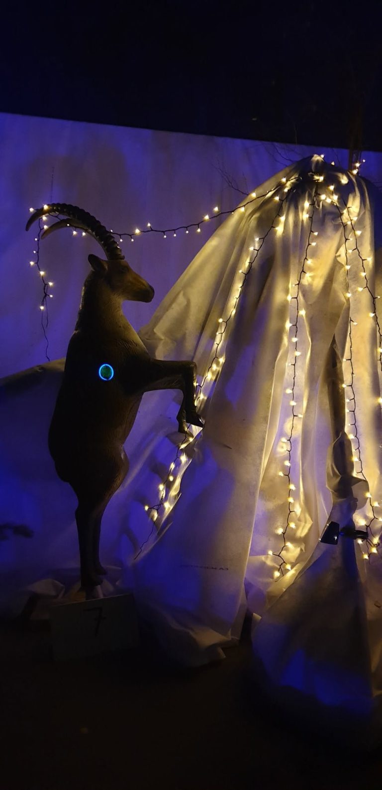 Nachtschießen – 3D Indoor 2019, Arrowclub Dudelange