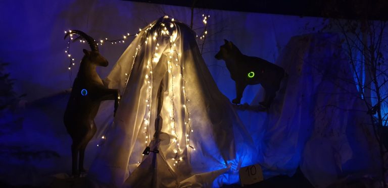 Nachtschießen – 3D Indoor 2019, Arrowclub Dudelange