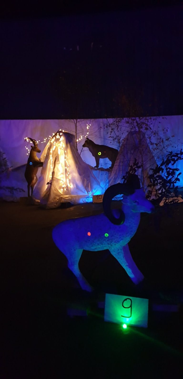 Nachtschießen – 3D Indoor 2019, Arrowclub Dudelange
