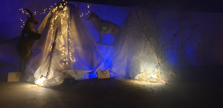 Nachtschießen – 3D Indoor 2019, Arrowclub Dudelange