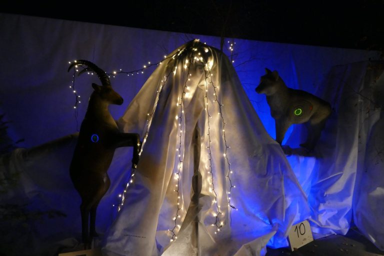 Nachtschießen – 3D Indoor 2019, Arrowclub Dudelange