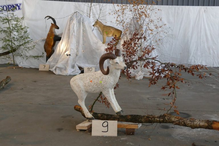 In der Halle – 3D Indoor 2019, Arrowclub Dudelange