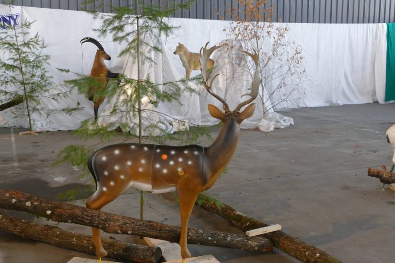 In der Halle – 3D Indoor 2019, Arrowclub Dudelange