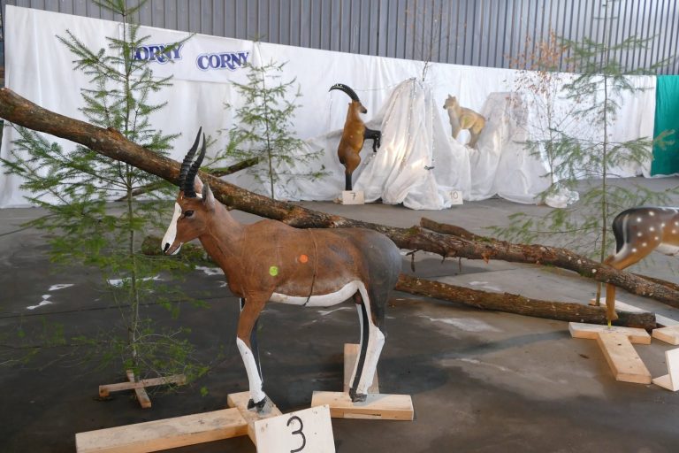 In der Halle – 3D Indoor 2019, Arrowclub Dudelange