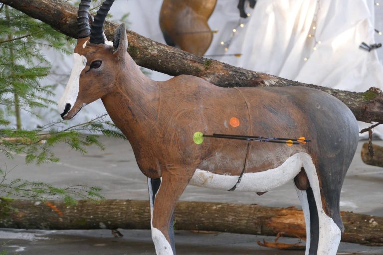 In der Halle – 3D Indoor 2019, Arrowclub Dudelange