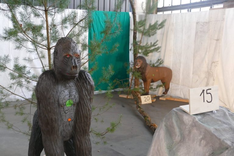 In der Halle – 3D Indoor 2019, Arrowclub Dudelange