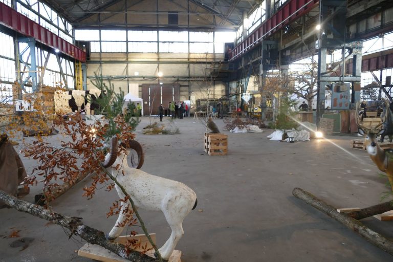 In der Halle – 3D Indoor 2019, Arrowclub Dudelange